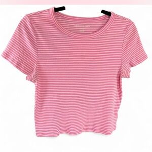 American Eagle Outfitters Pink and White Striped Baby Tee Size XL